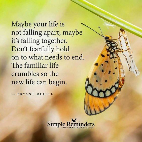 Welcome :)